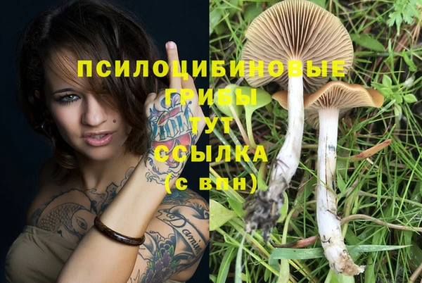 герыч Алзамай