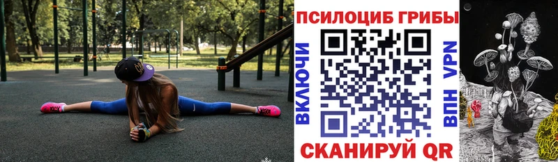 кракен ONION  Череповец  Галлюциногенные грибы Cubensis 