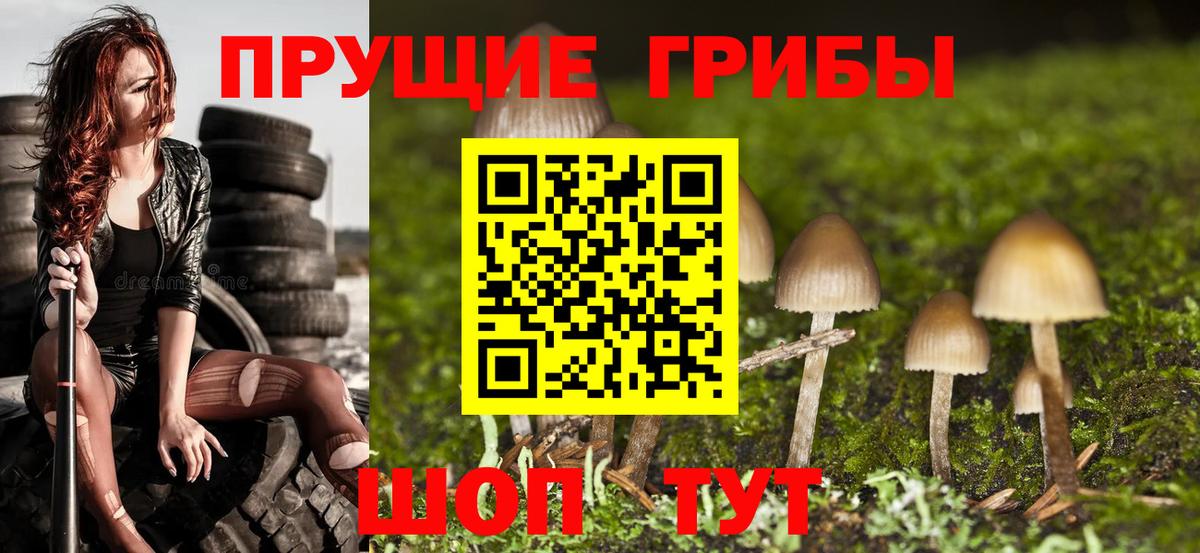 Галлюциногенные грибы мицелий  Вход с VPN  Череповец  Псилоцибиновые грибы Cubensis 